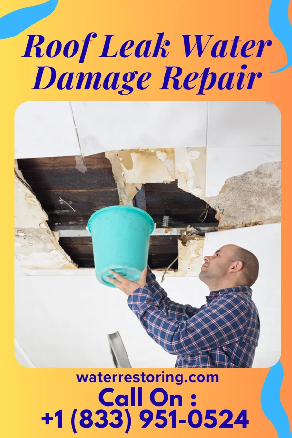 Roof Leak Water Damage Repair in Linwood, KS